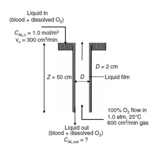 wetted wall column experiment lab report