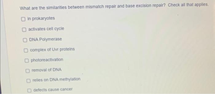 Solved What are the similarities between mismatch repair and | Chegg.com