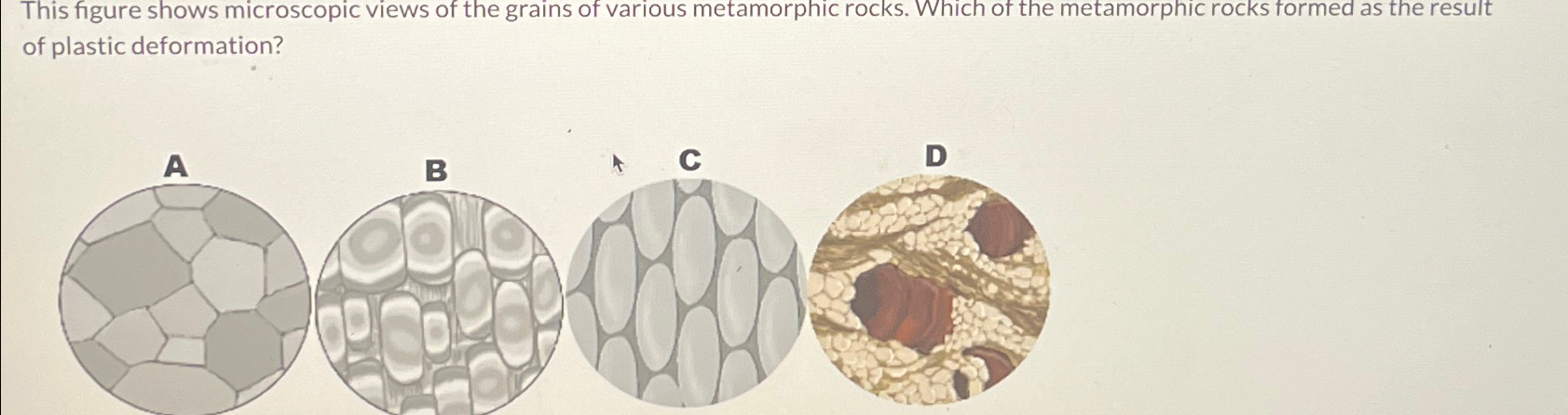 This Figure Shows Microscopic Views Of The Grains Of | Chegg.com