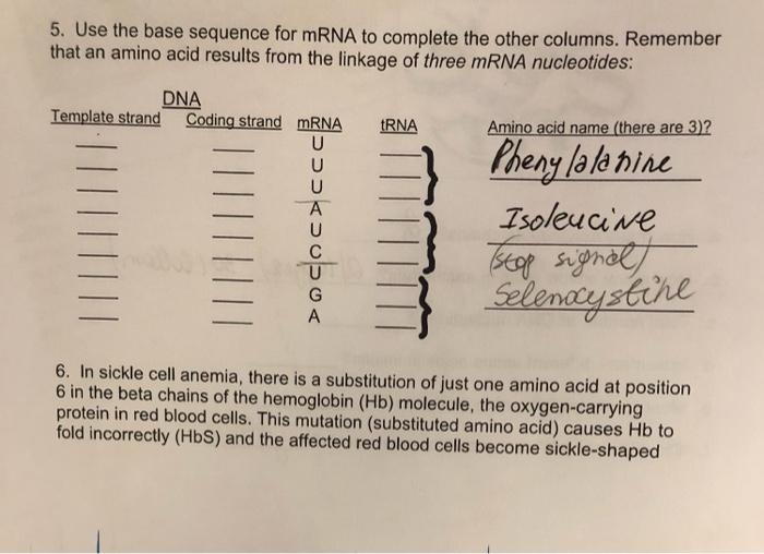 Solved 5. Use the base sequence for mRNA to complete the | Chegg.com