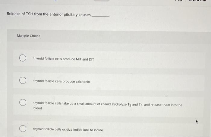 Solved Where is oxytocin produced? Multiple Choice ) O | Chegg.com