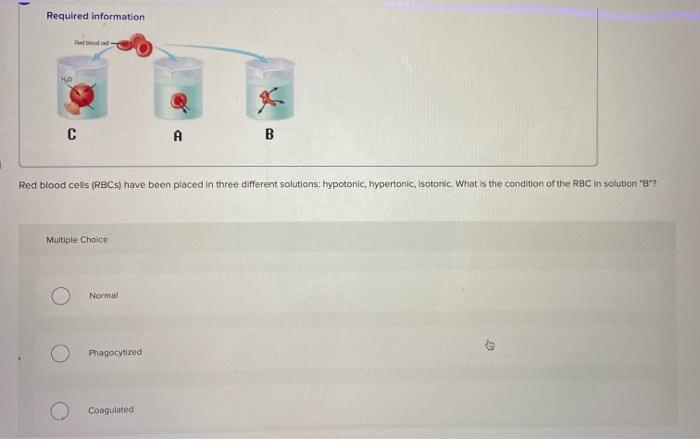 Solved ep SUM Required information 10 С A B Red blood cells | Chegg.com