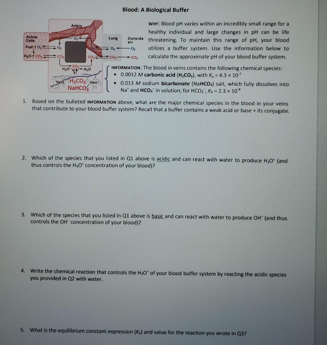 Solved Blood: A Biological Buffer Artery 0 Active Cells Fuel | Chegg.com