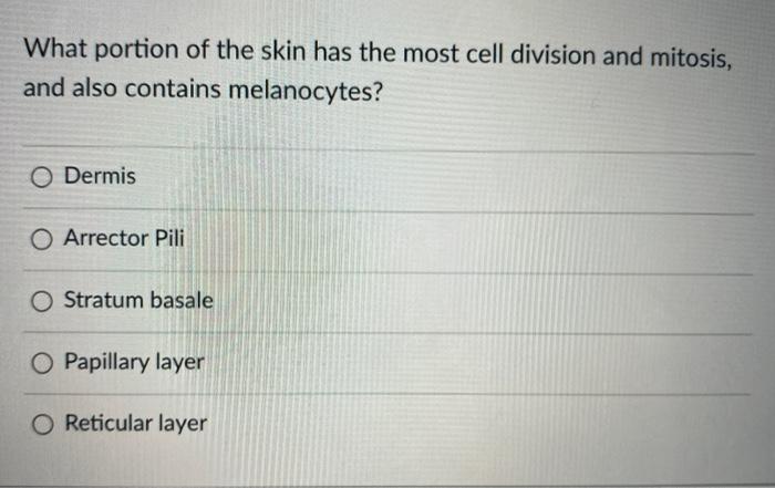 Solved What portion of the skin has the most cell division | Chegg.com