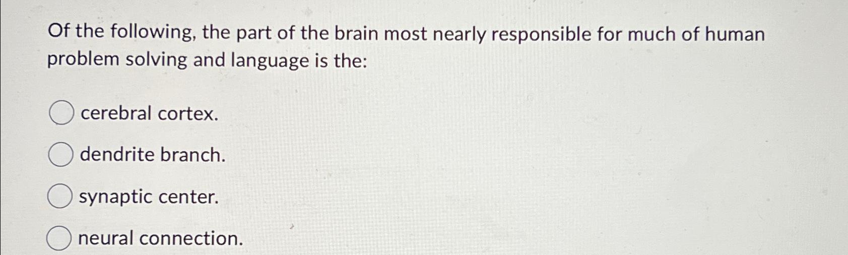 part of the brain responsible for problem solving and analysis