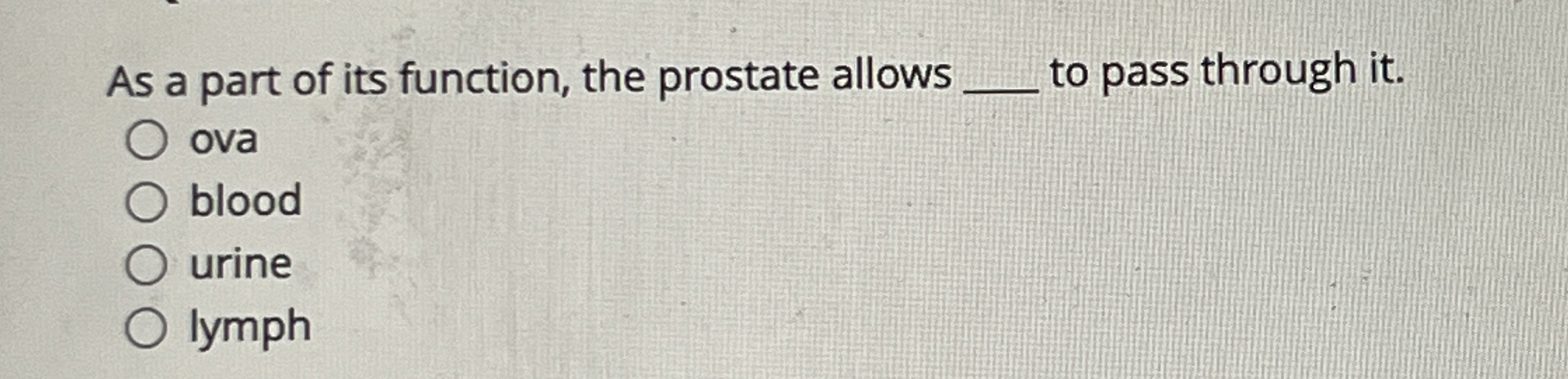 Solved As a part of its function, the prostate allows q, ﻿to | Chegg.com