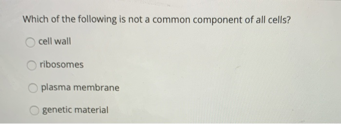 Solved Which of the following is not a common component of | Chegg.com