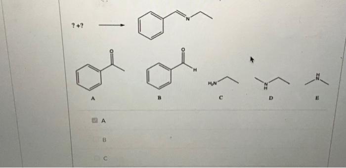 Solved ?+? A A B C B HN D B | Chegg.com