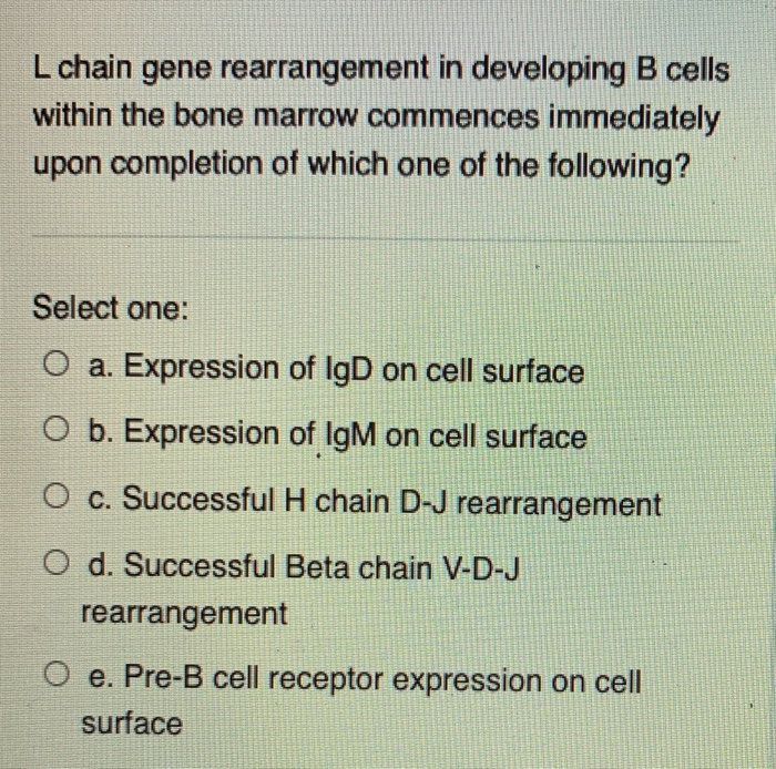 Solved L Chain Gene Rearrangement In Developing B Cells W Chegg Com