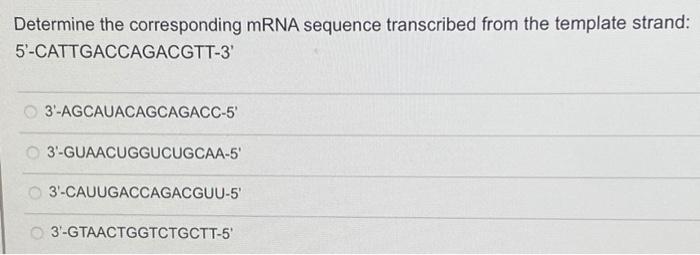 Solved Determine the corresponding mRNA sequence transcribed | Chegg.com