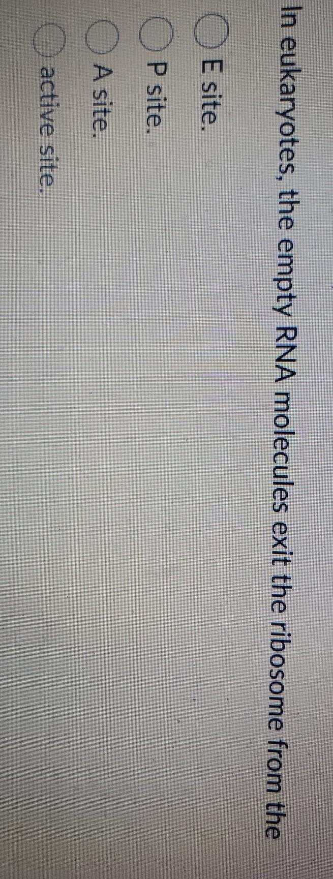 Solved Transcription is the process of Synthesizing a DNA | Chegg.com