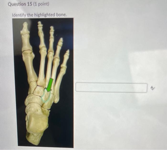 Solved Question 15 (1 point) Identify the highlighted | Chegg.com