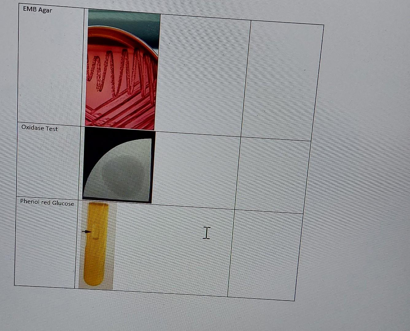 Solved Laboratory Unknown Assignment The goal of this | Chegg.com