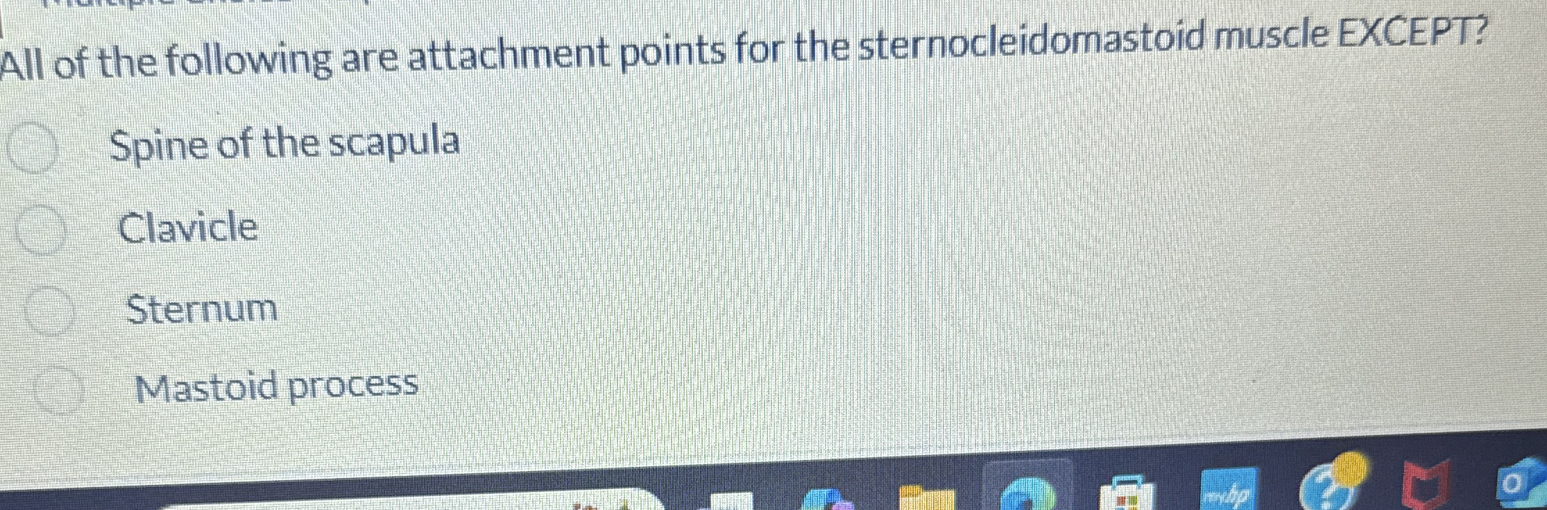 Solved All of the following are attachment points for the | Chegg.com