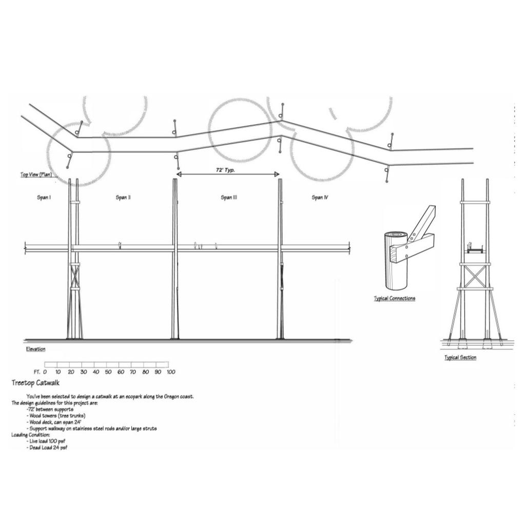 Solved How to solveHW 6: Treetop Canopy Graphic StaticsA new | Chegg.com