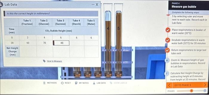 cellular respiration and fermentation in yeast experiment