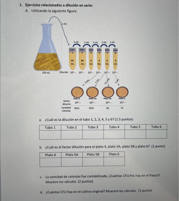 1. Ejercicios relacionados a dilución en serie: A. Utilizando la siguiente figura: a. ¿Cuál es la dilución en el tubo \( 1,2,