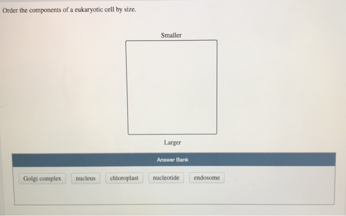 Solved Order the components of a eukaryotic cell by size. | Chegg.com