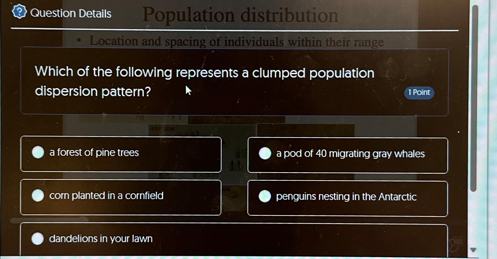 Solved Question DetailsPopulation distributionWhich of the | Chegg.com