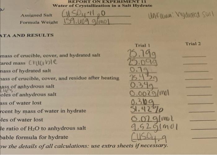 crystallization salt water experiment