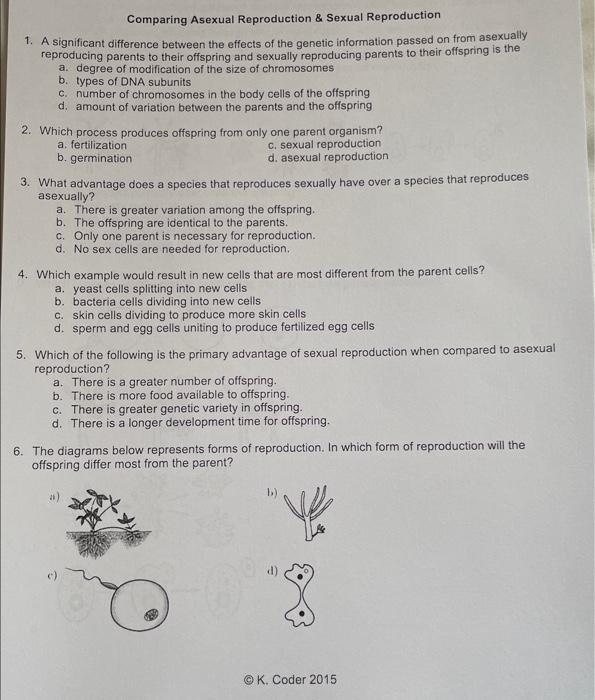 Asexual Reproduction Worksheet Answers Asexual And Sexual Reproduction