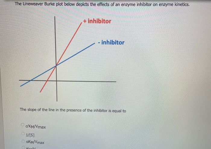 Solved The Lineweaver Burke plot below depicts the effects | Chegg.com