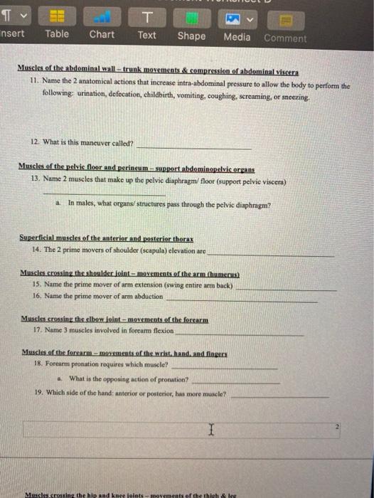 Solved T nsert T Text Table Chart Shape Media Comment | Chegg.com