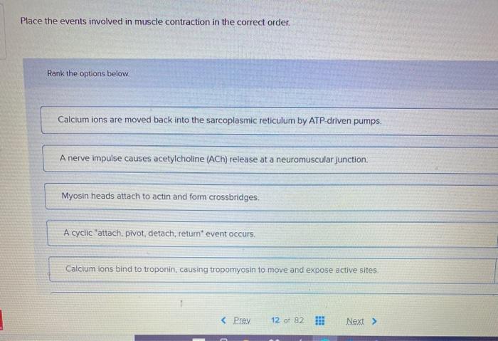 Solved Place The Events Involved In Muscle Contraction In Chegg