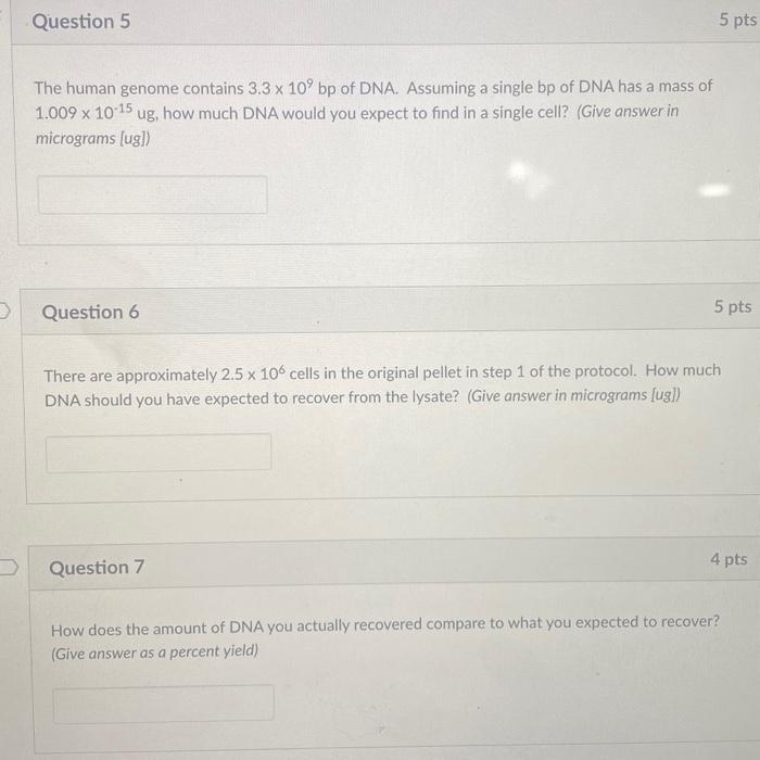 Solved The human genome contains 3.3×109 bp of DNA. Assuming | Chegg.com