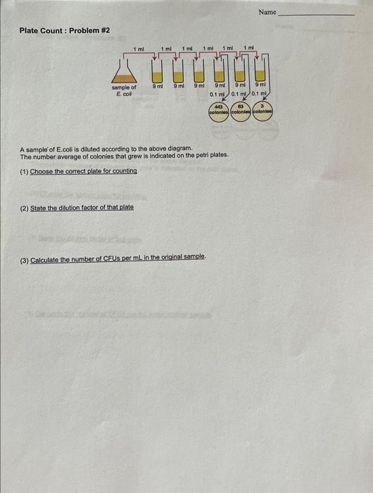 Solved Practice Plate Count Dilution Problem \1 A sample of