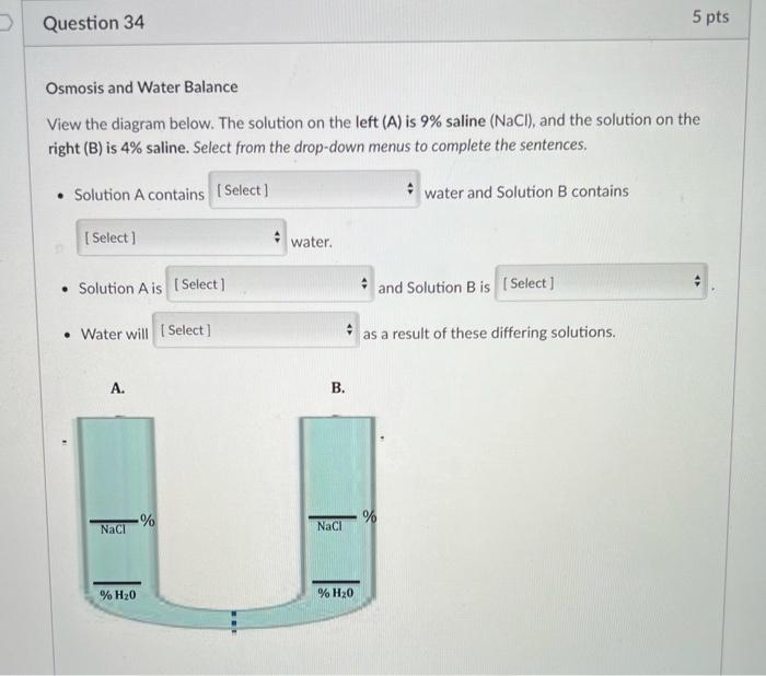 Solved Cell Membrane Fill in the blanks with the number | Chegg.com