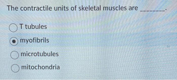 The contractile units of skeletal muscles are
OT tubules
myofibrils
Omicrotubules
mitochondria