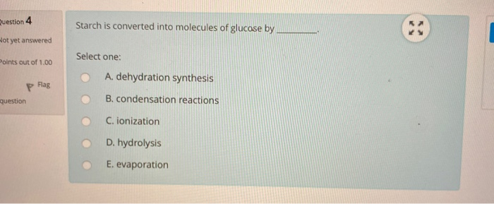 Solved Question 4 Starch is converted into molecules of | Chegg.com