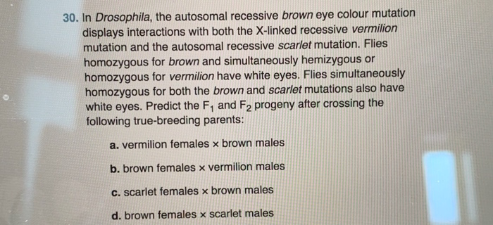 In Drosophila The Autosomal Recessive Brown Eye Color