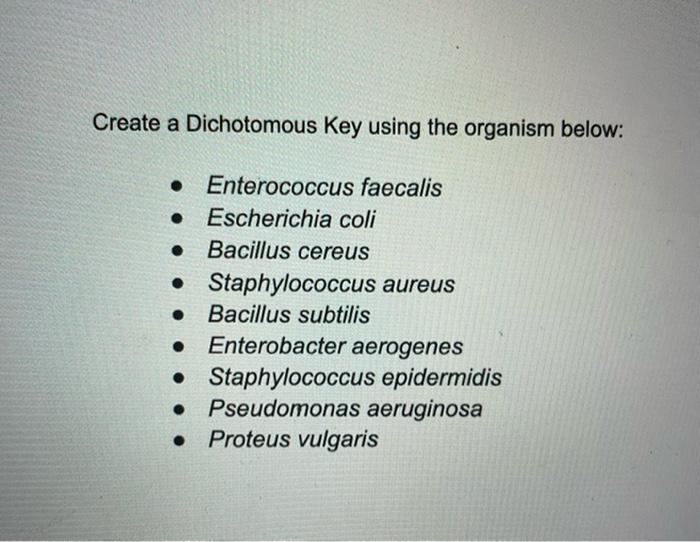 Solved Create a Dichotomous Key using the organism below: O | Chegg.com