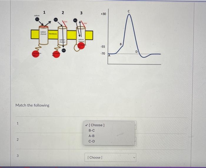 Match the following | Chegg.com