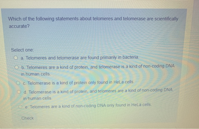 Solved Which of the following statements about telomeres and | Chegg.com