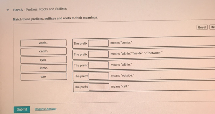 prefixes endo