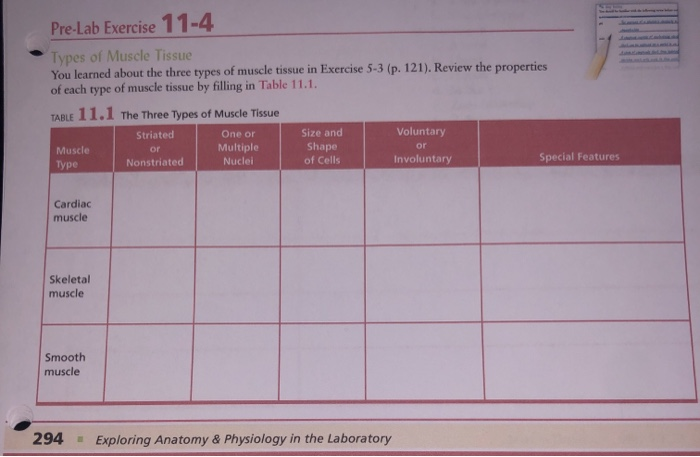 Solved Pre-Lab Exercise 11-4 Types Of Muscle Tissue You | Chegg.com