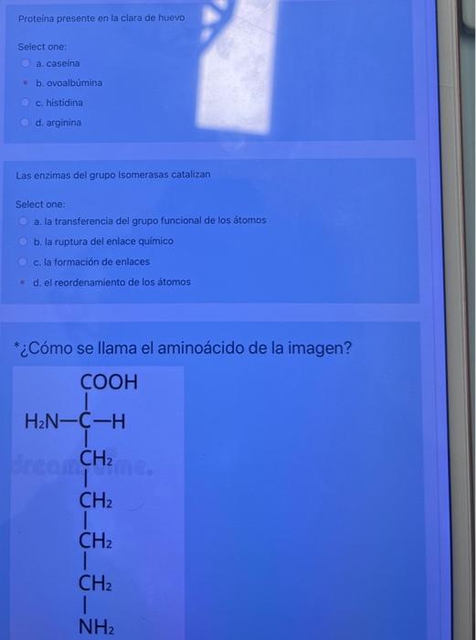 Proteina presente en la clara de huevo Select one: a. caseina b. ovoalbúmina c. histidina d. arcinina Las enzimas del grupo