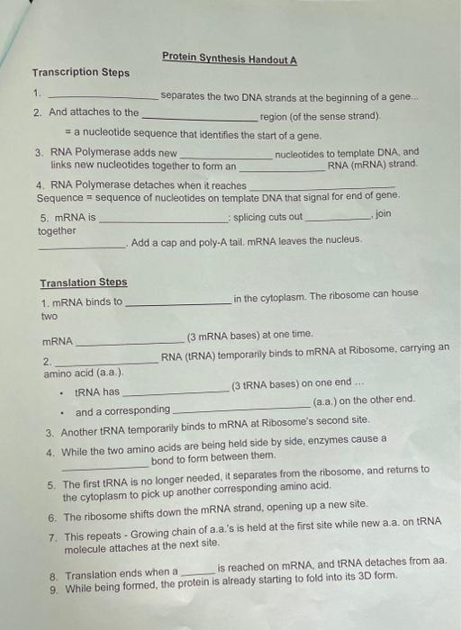 Solved Protein Synthesis Handout A Transcription Steps 1.