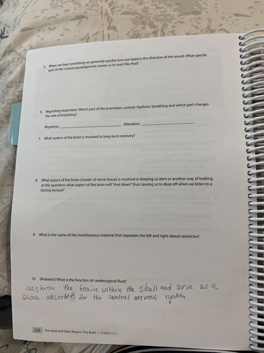 Solved NAME: SECTION: DATE WORKSHEET THE HEAD AND NECK | Chegg.com
