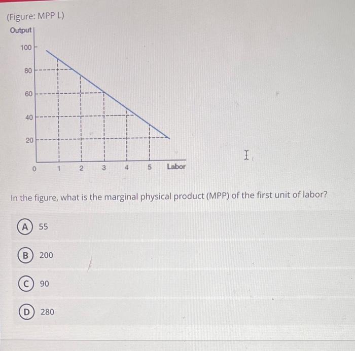 Solved (Figure: MPP L) In The Figure, What Is The Marginal | Chegg.com