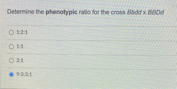 Solved Determine the phenotypic ratio for the cross Bodd x | Chegg.com