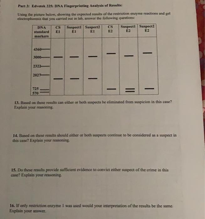 solved-part-3-edvotek-225-dna-fingerprinting-analysis-of-chegg