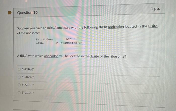 Solved Question 15 1 pts Suppose you have an mRNA molecule | Chegg.com
