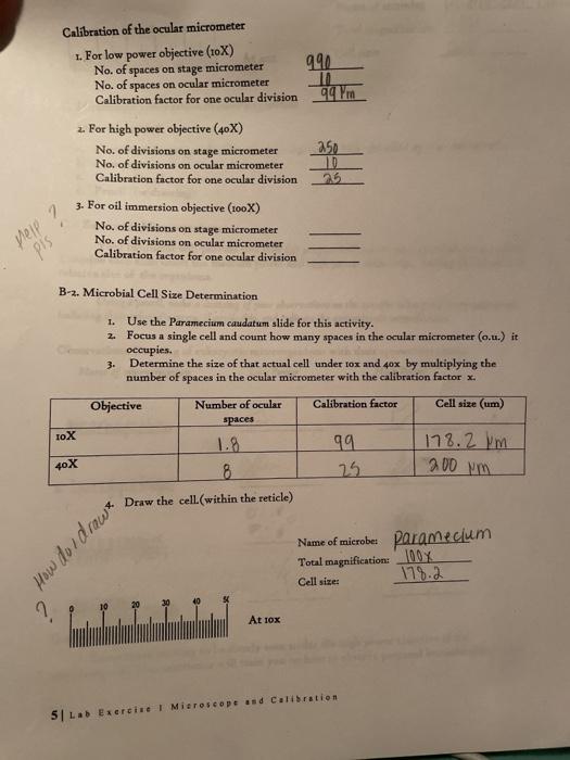 Solved 990 Calibration of the ocular micrometer 1. For low