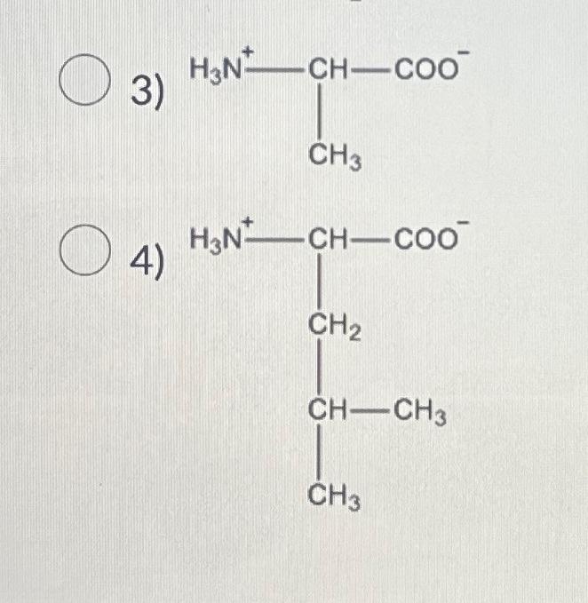 Solved Which of the following is most likely to be found in | Chegg.com