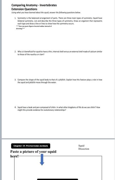 Solved Comparing Anatomy - Invertebrates Extension Questions | Chegg.com