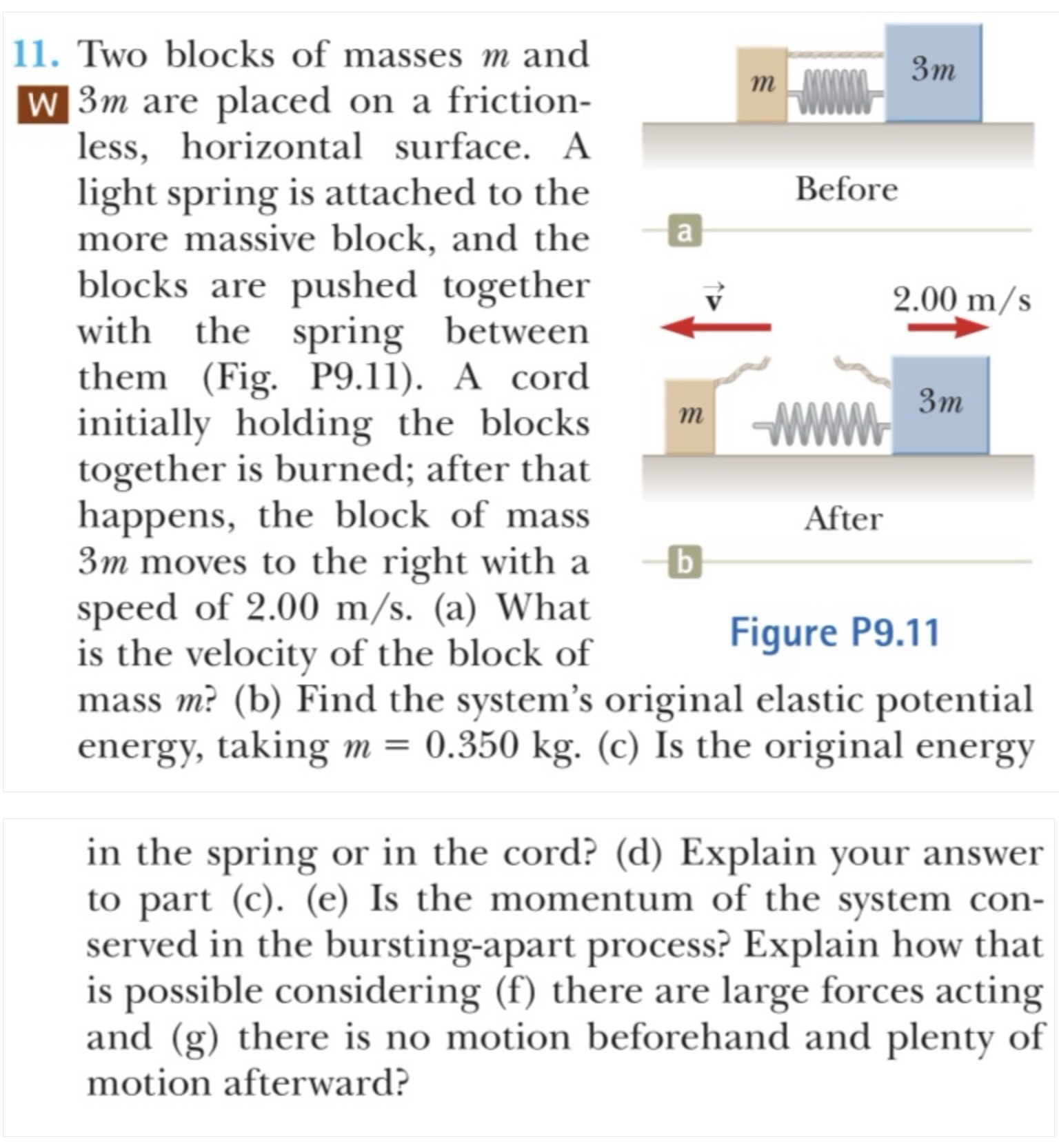 Solved Two blocks of masses m ﻿and W 3m ﻿are placed on a | Chegg.com
